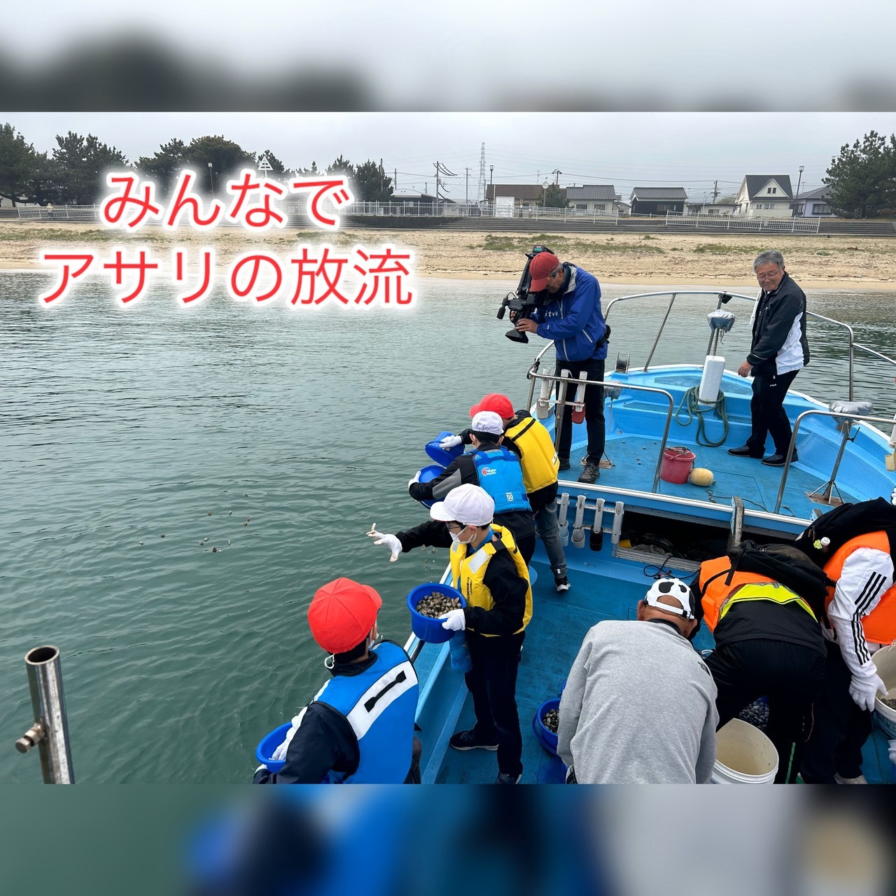 愛媛県稚魚放流,愛媛県アサリ放流,ボランティア活動,地域活性,水質保全事業