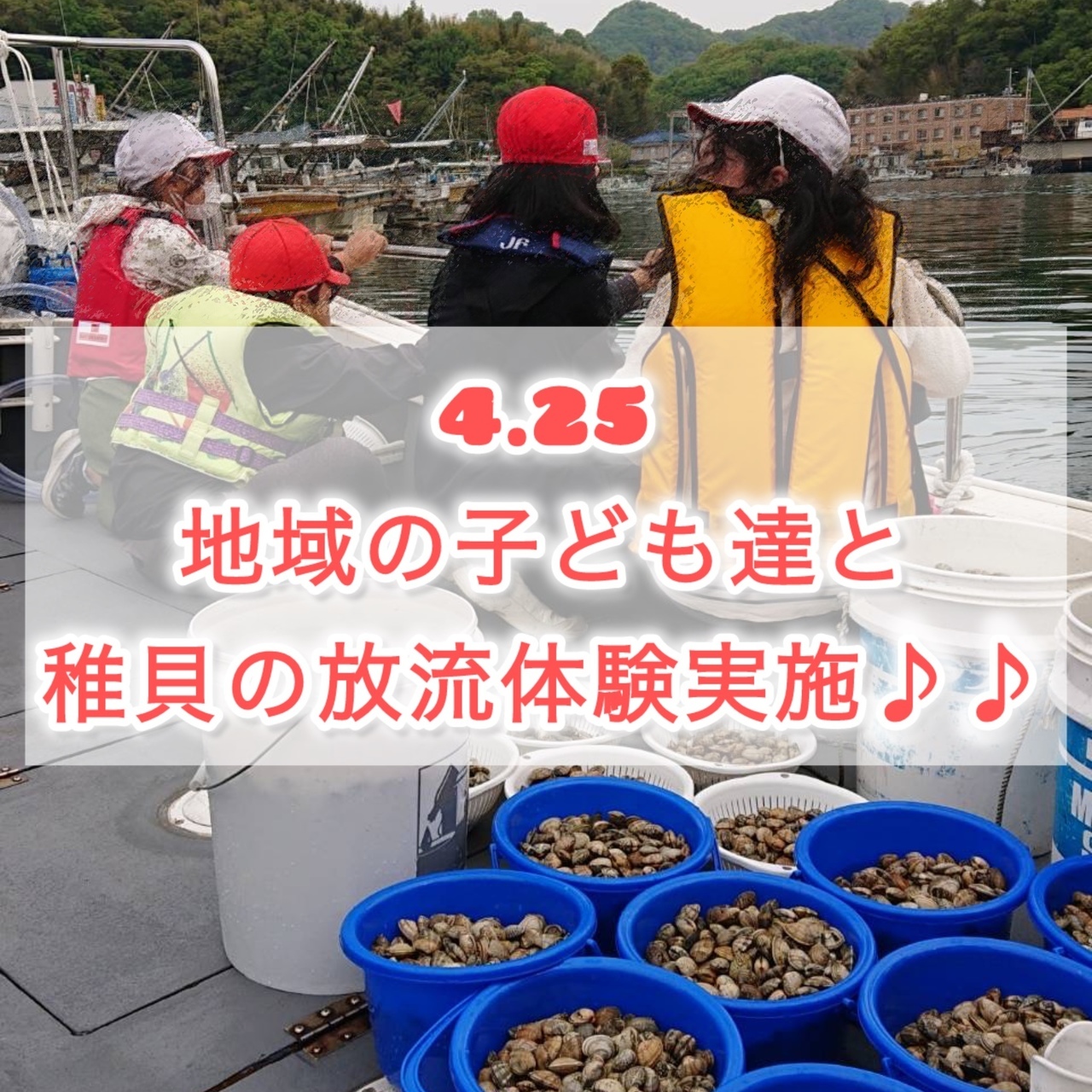 愛媛県稚魚放流,愛媛県アサリ放流,ボランティア活動,地域活性,水質保全事業